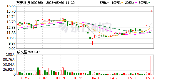 配资推荐 万安科技：2024年年度股东大会决议公告
